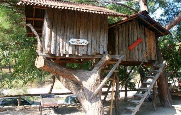 TURKMEN TREE HOUSES