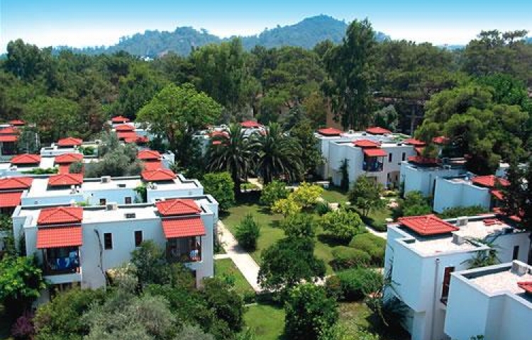 OTiUM HOTEL ART
