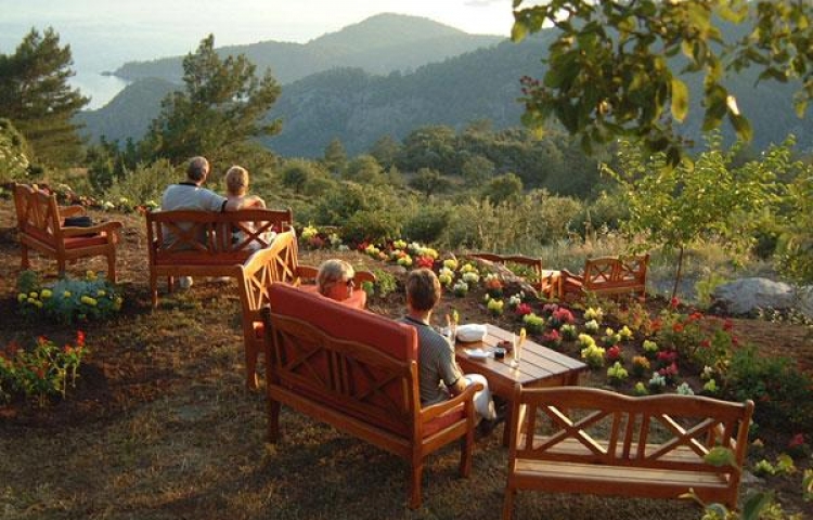 MONTANA PINE RESORT
