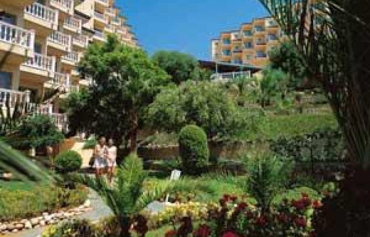 PALOMA BEACH